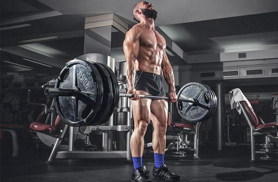 Testosteron Undecanoat Steroid-Kurs